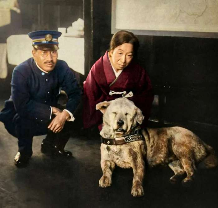 Любопытные фотографии из прошлого стран Азии. 20 раскрашенных фотографий ХХ века. Часть IV Старое фото, Историческое фото, 20 век, Фотография, Азия, Китай, Япония, Таиланд, Вьетнам, Колоризация, Длиннопост