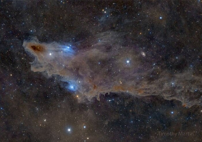 Ldn 1235: туманность акулы