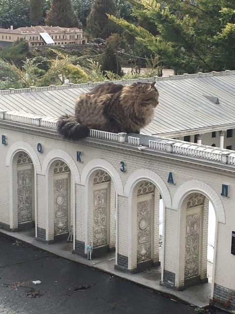 �������� ���� ����� � �����������