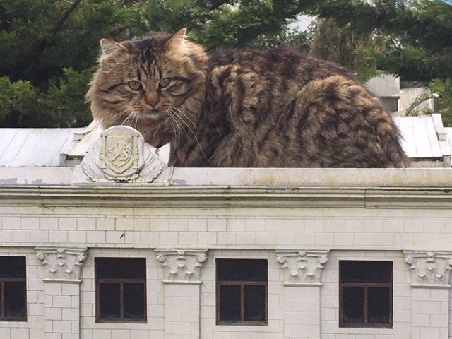 �������� ���� ����� � �����������