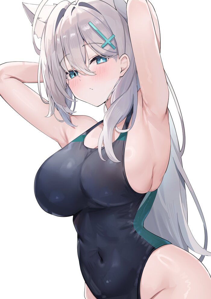 Sunaookami Shiroko #041 , Anime Art, Blue Archive, Shiroko Terror, , , One-piece swimsuit,  , Animal Ears,  