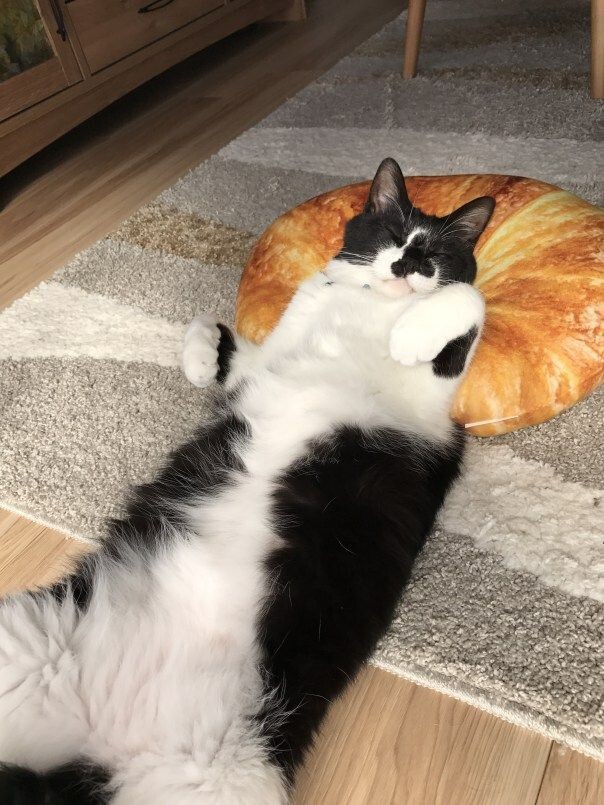     , ...    ! , ,  ,  , , , , , 
