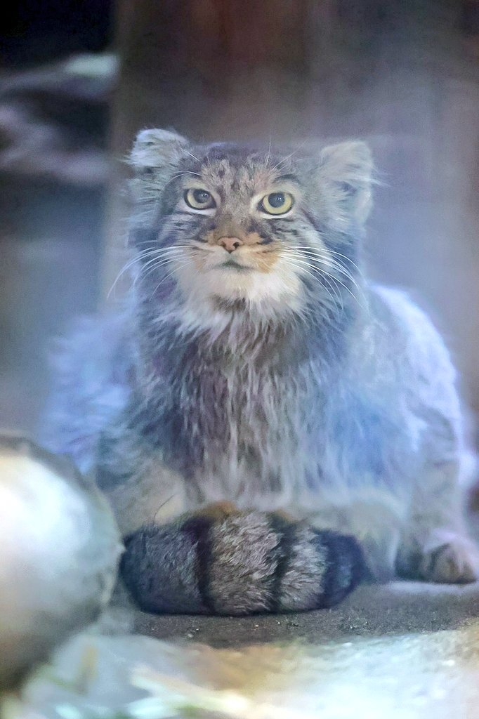    ... ,    ...  ...   ...