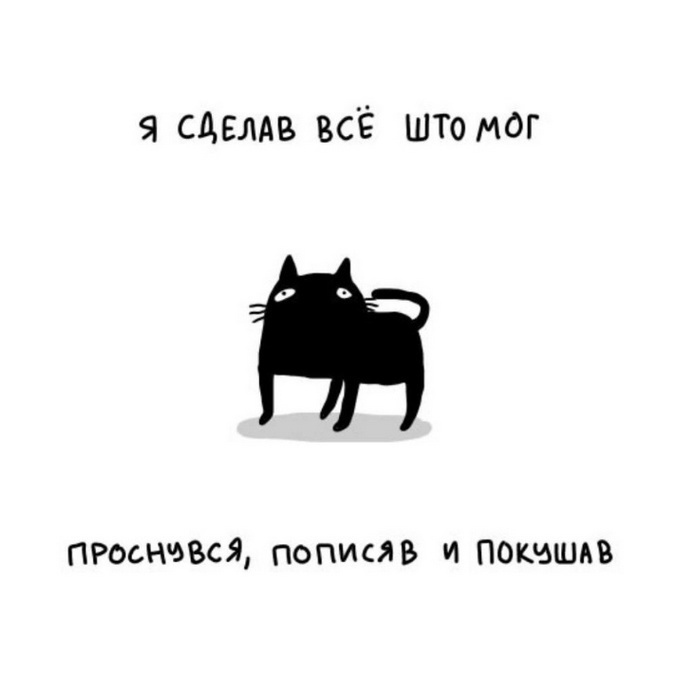 Все что мог