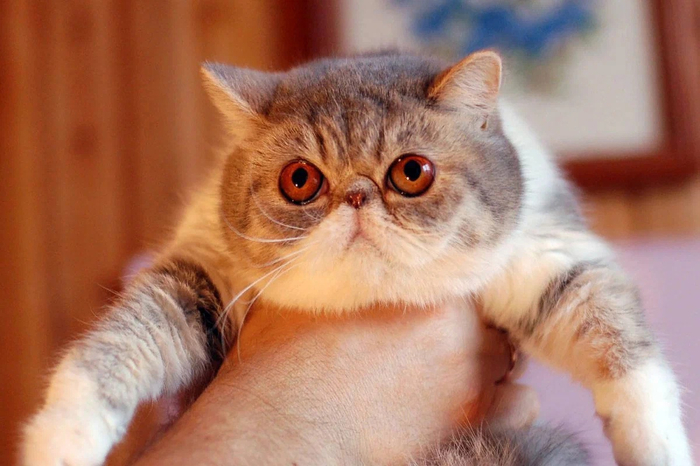     .   :      !       !