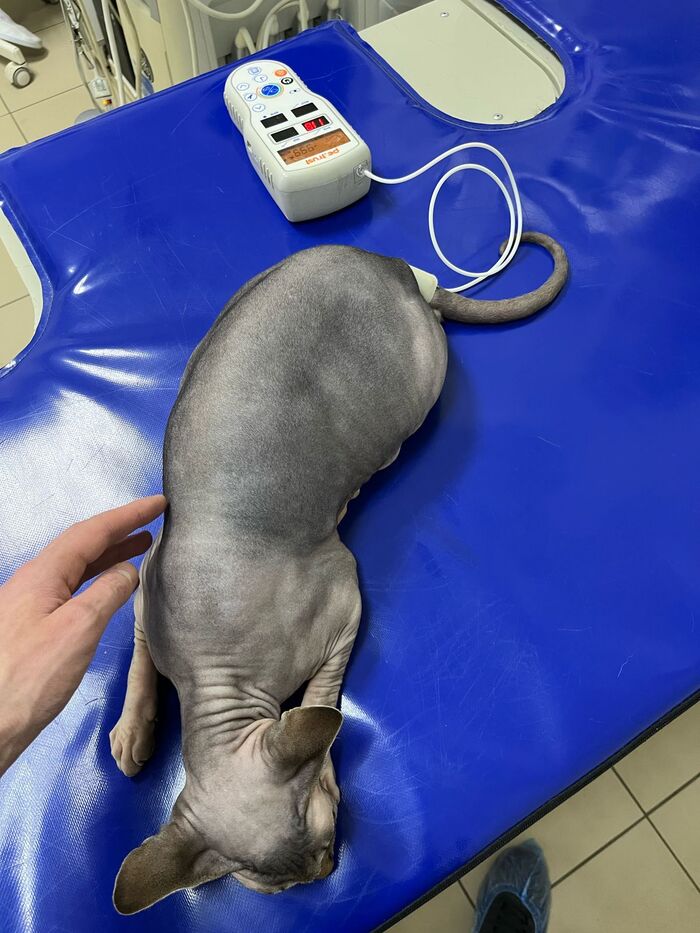 ��� ������ ����� ��������