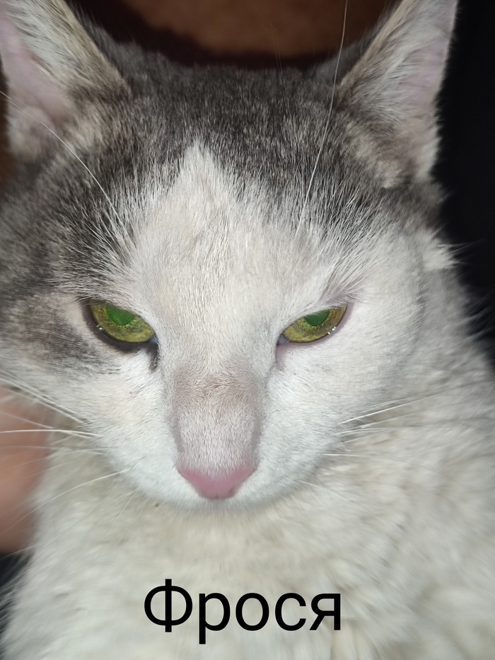 ������ ��� � ����