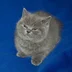 Its.Savin