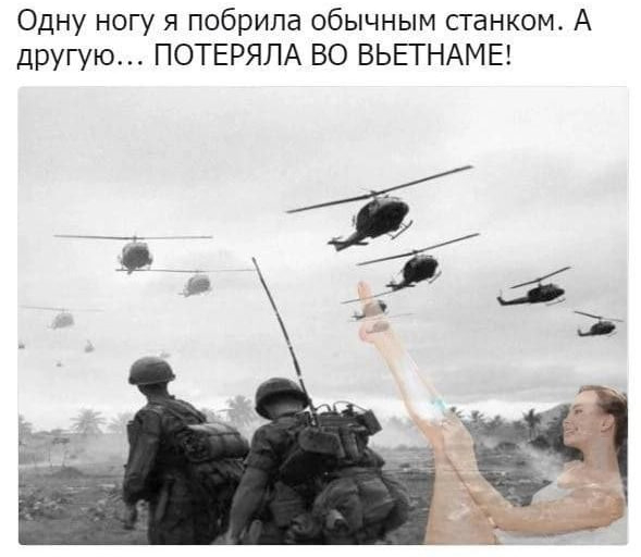  , ,  ,   ,  ,  ,  ,  , ,   , ,   , Telegram ()