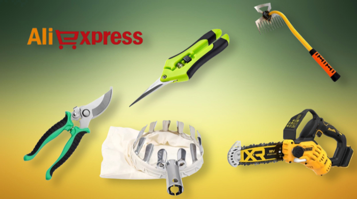 10    AliExpress,       ,  , , , AliExpress,  , , , 
