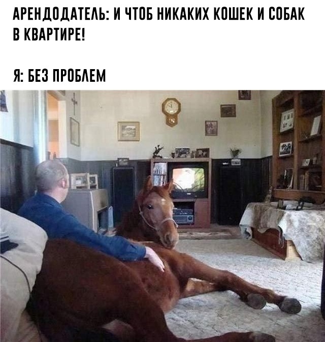     , , , 