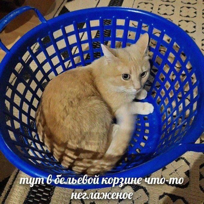 !   , , , 