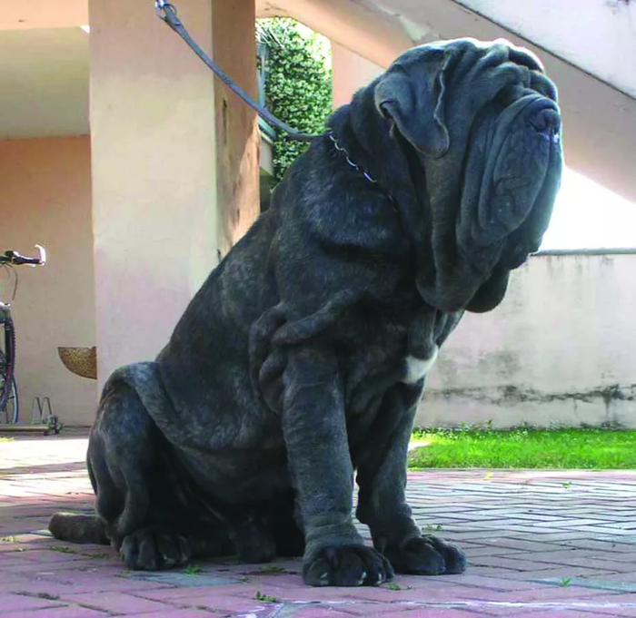 Мда, фейс-лифтинг тут точно не поможет!