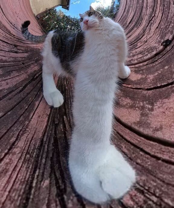  , , 