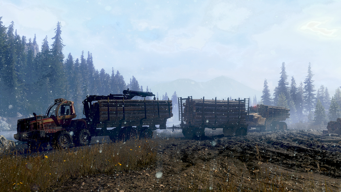 Два уникальных перевозчика брёвен в одном месте