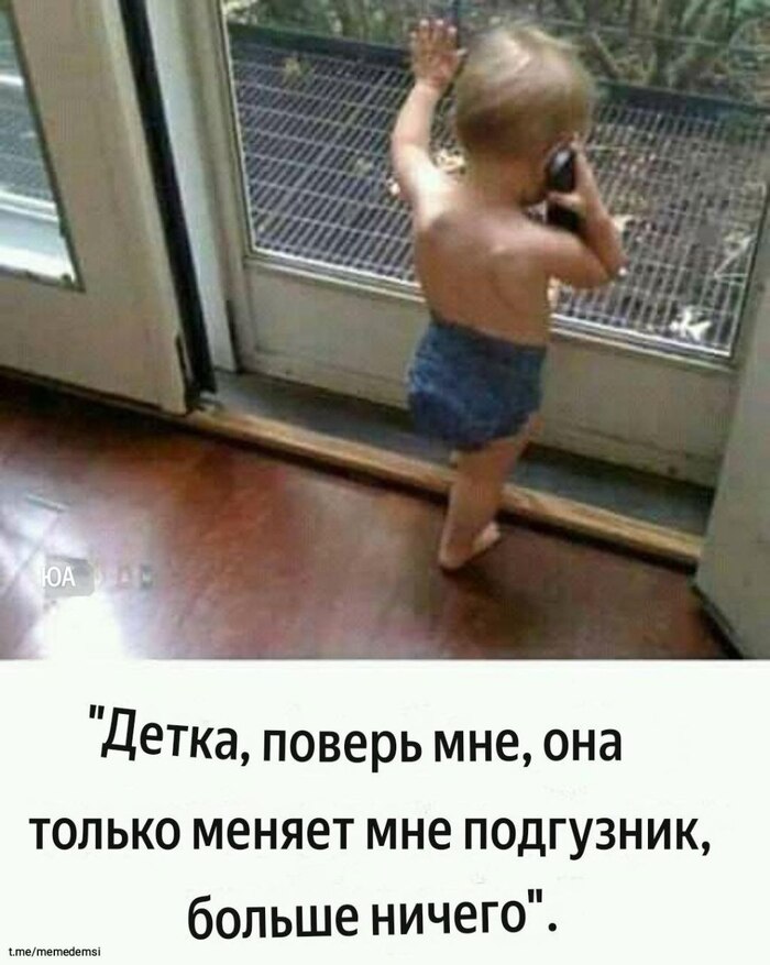    ,   , , , , , , , , Telegram ()