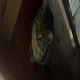 ����� ����� ������ ���� �����������