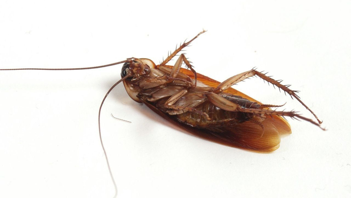 ������ ������� ���� ��� �������� ������, �������� ��������� ���� ����, ��� ���� ������, ��� ��� � ������� ���������??