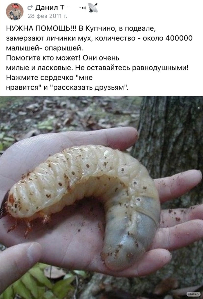   ,  !!  , , , , , ,  , , -,  , 