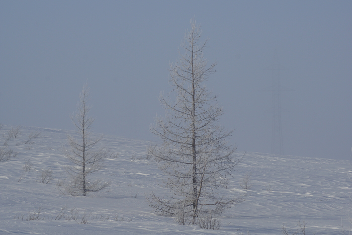 �������, ��������.