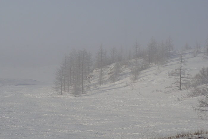 ����� � ����� ������ ������