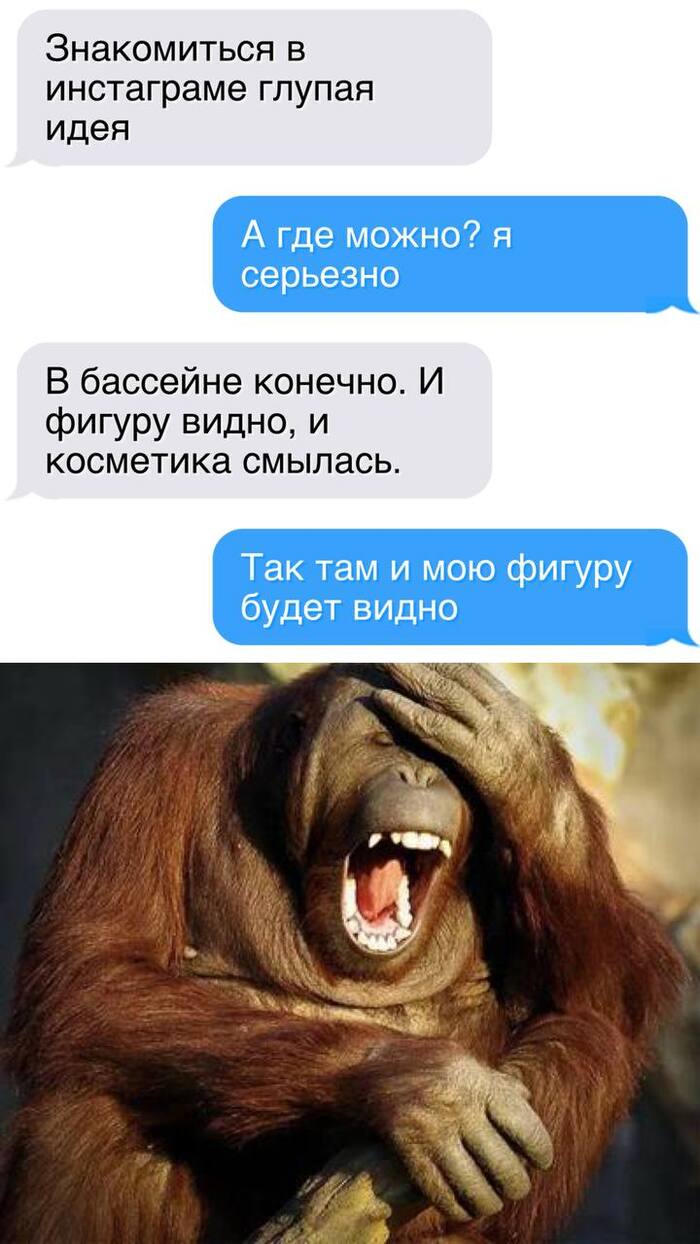  ,    , , , , , , Telegram ()