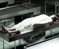 [NSFW] TiM - ̸�����