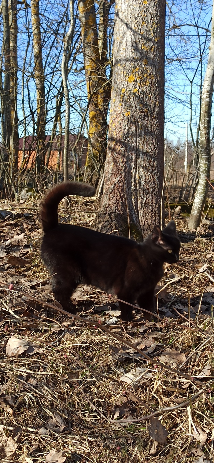 &#x1F33F;    ,      ! &#x1F4AA;