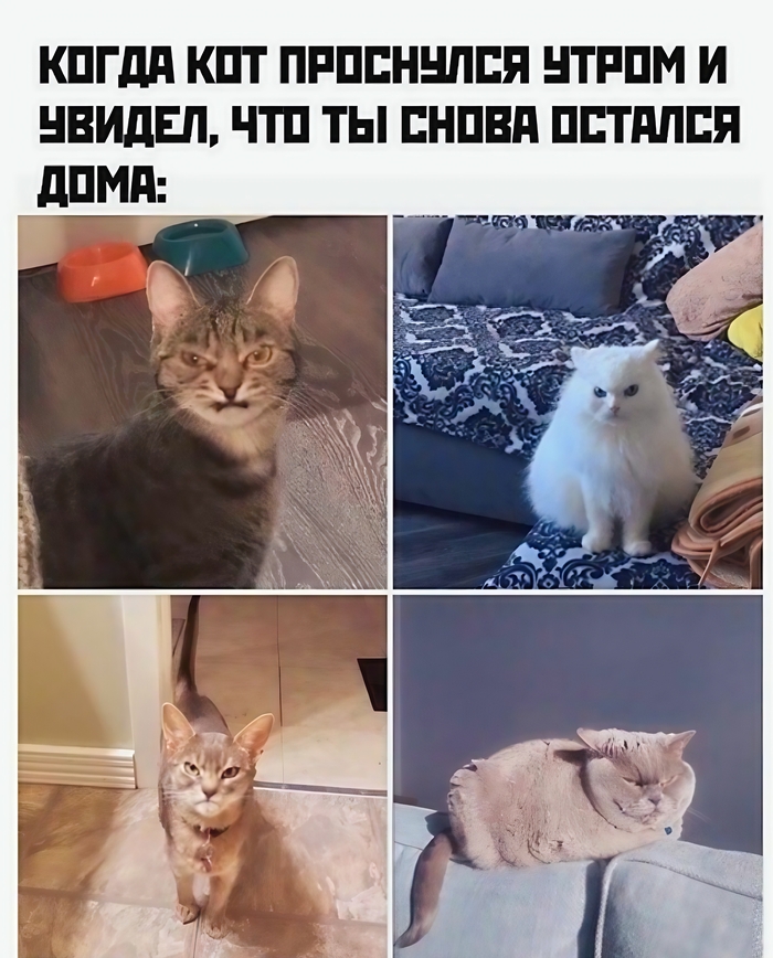 � ��������