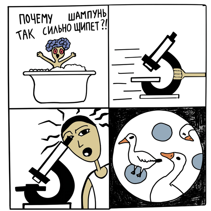 Ответ на пост «Загадка разгадана»