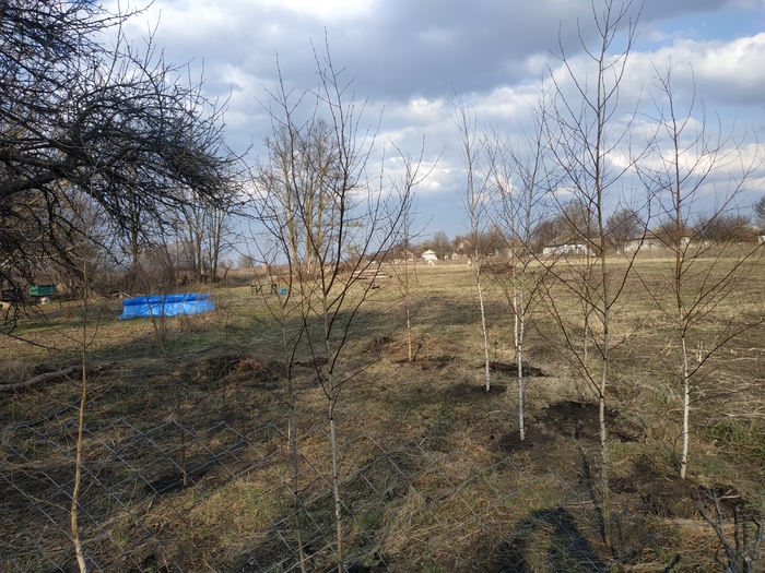 ������ � ������� ������))).