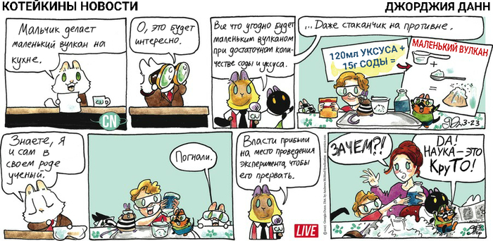 Котейкины Новости от 23.03.2025