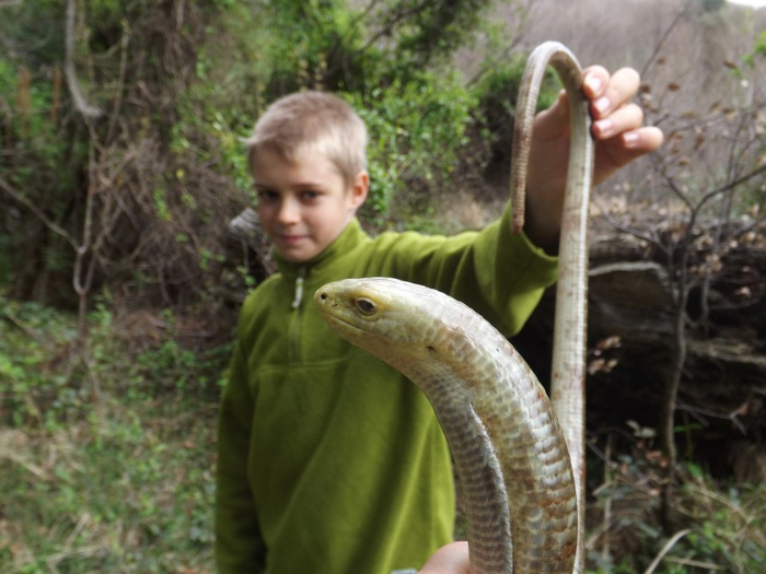 Человеки, уйдите, я взрывоопасен!