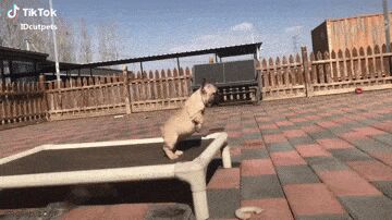   , , , 