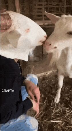     ,   , , , 