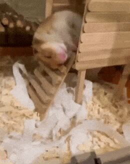     ,   , , , 