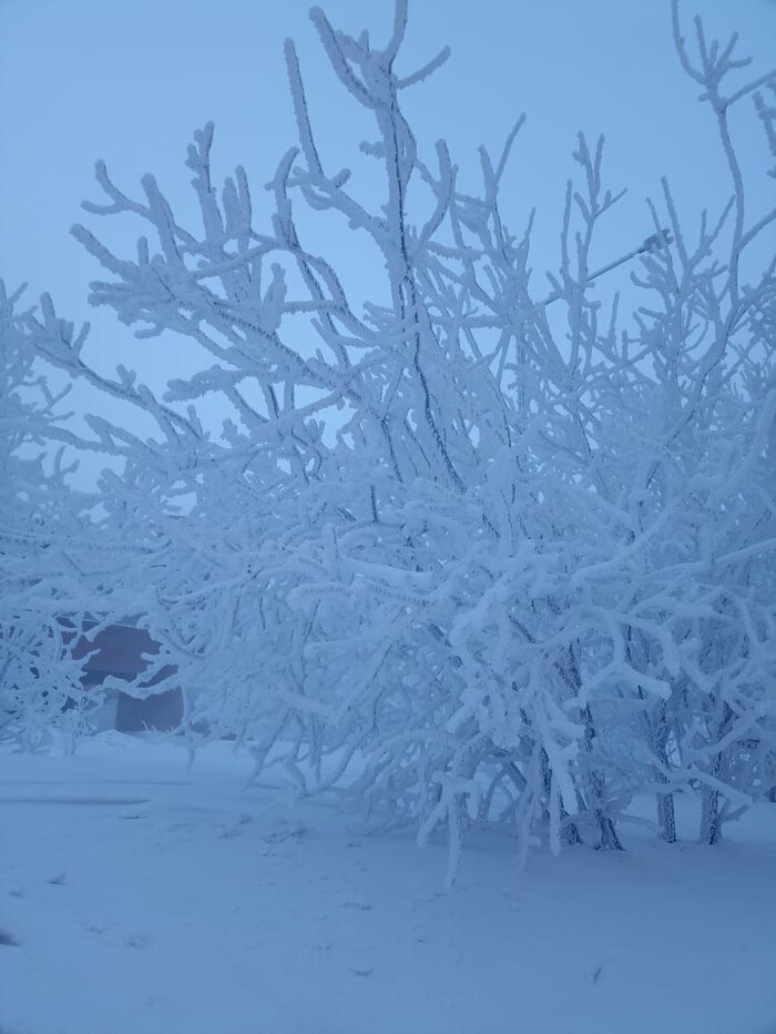 Вот такая красота бывает после сильных морозов