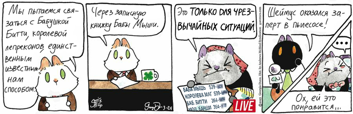 Котейкины Новости от 24.03.2025