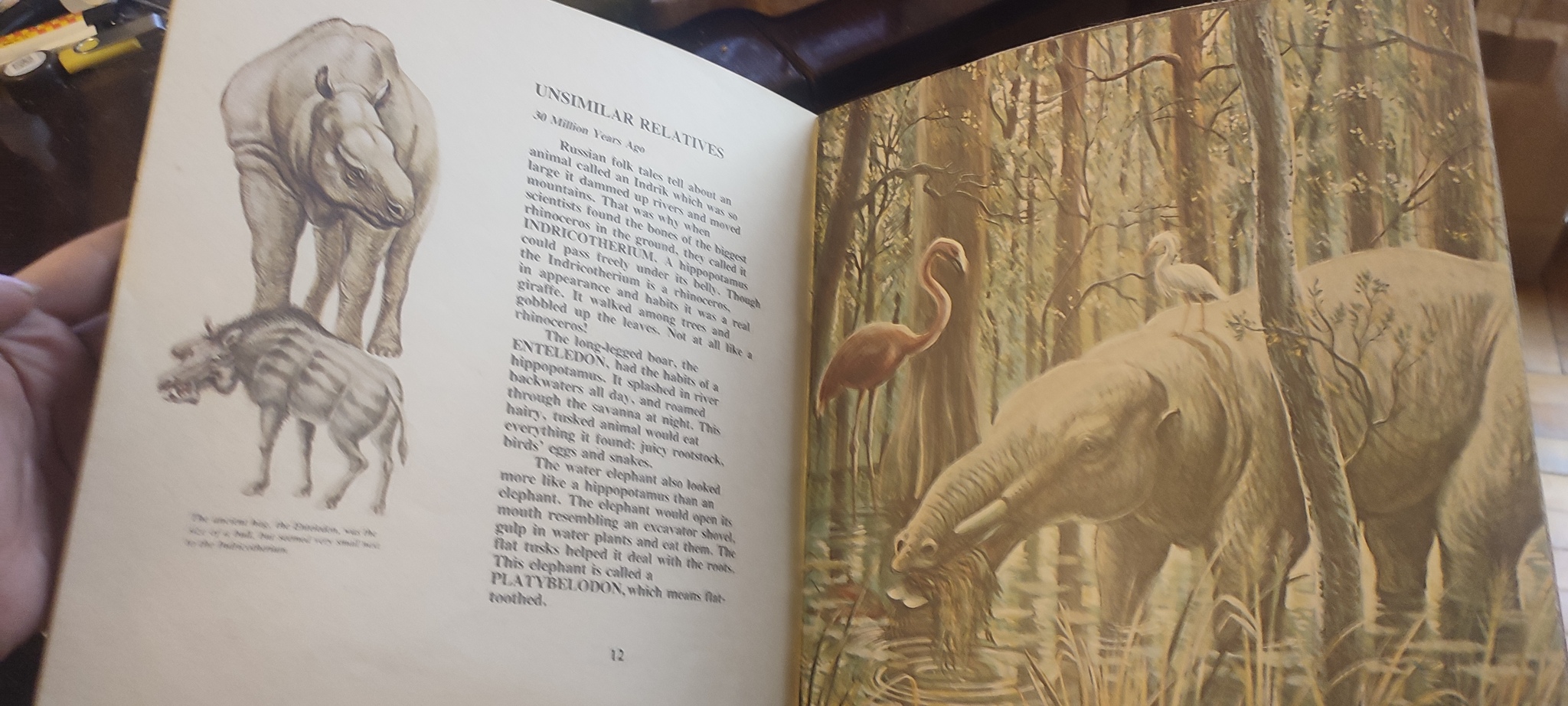 Отдам книгу) - Моё, Палеонтология, Книги, Отдам
