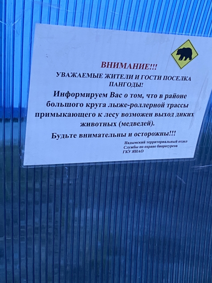           ,  ,  , , , ,  , ,   , 