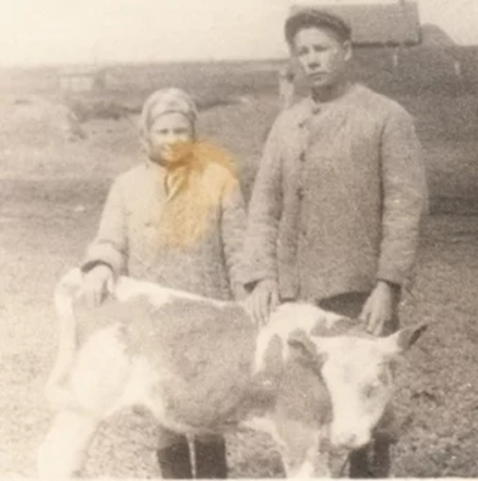 ,    (1947  1948 .).    