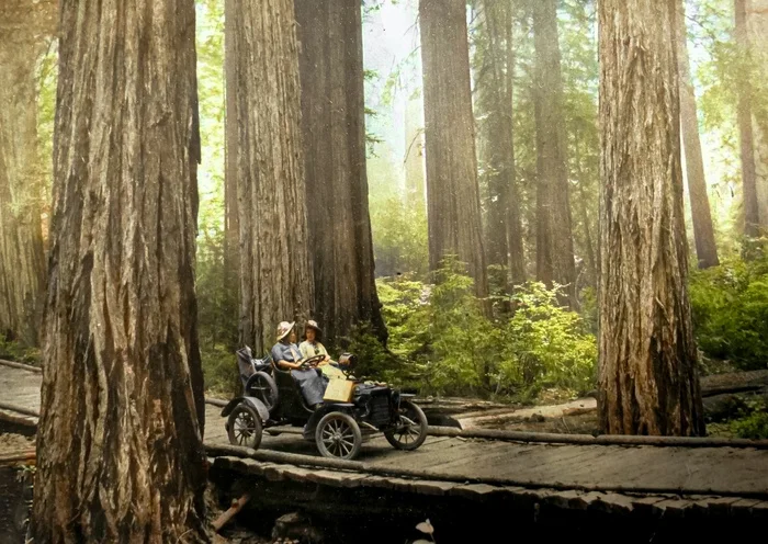 Подборка интересных и необычных фотографий из США. 20 раскрашенных фотографий ХХ века. Часть XVIII 20 век, Старое фото, США, Фотография, Колоризация, Длиннопост