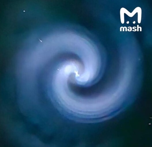 Присмотрелась