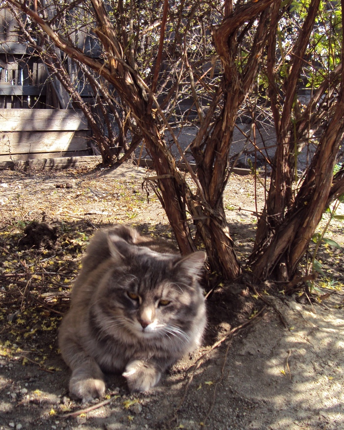 ������� ������� ��� ����������)