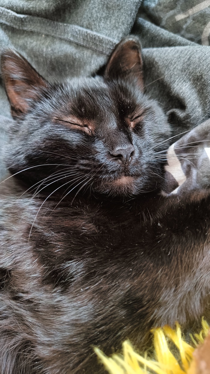 .    !  ""   24/7. ,    ,   . &#x1F601;