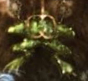 ,    ;) , It Is Wednesday My Dudes, 