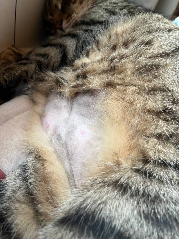       , , , , , , , , 