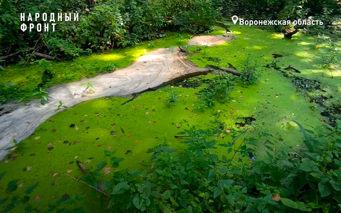 ��� �������� �������������� ���������� ������� ���� � ����������� �������� ������� � ����������