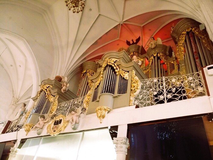 �����������. ������������ �����. �����. ����: ������ �.