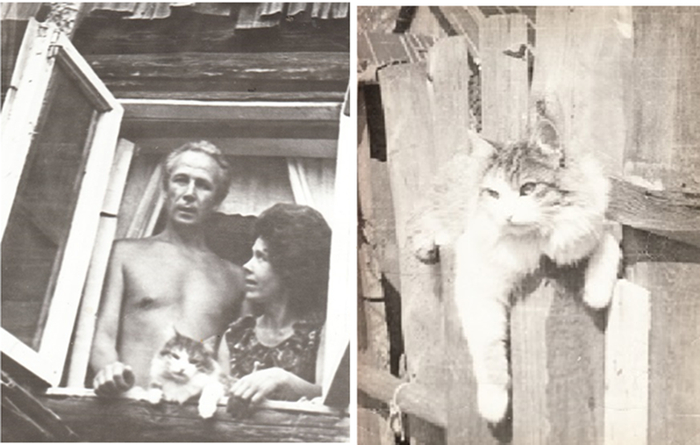 Рис. 6. Я, жена и Вася на даче. Вася отдыхает на заборе. Фото из личного архива